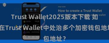 Trust Wallet2025版本下载 如安在Trust Wallet中处治多个加密钱包地址？