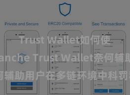 Trust Wallet如何使用Avalanche Trust Wallet奈何辅助用户在多链环境中科罚和兑换钞票？