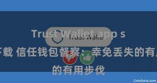 Trust Wallet app store下载 信任钱包督察：幸免丢失的有用步伐